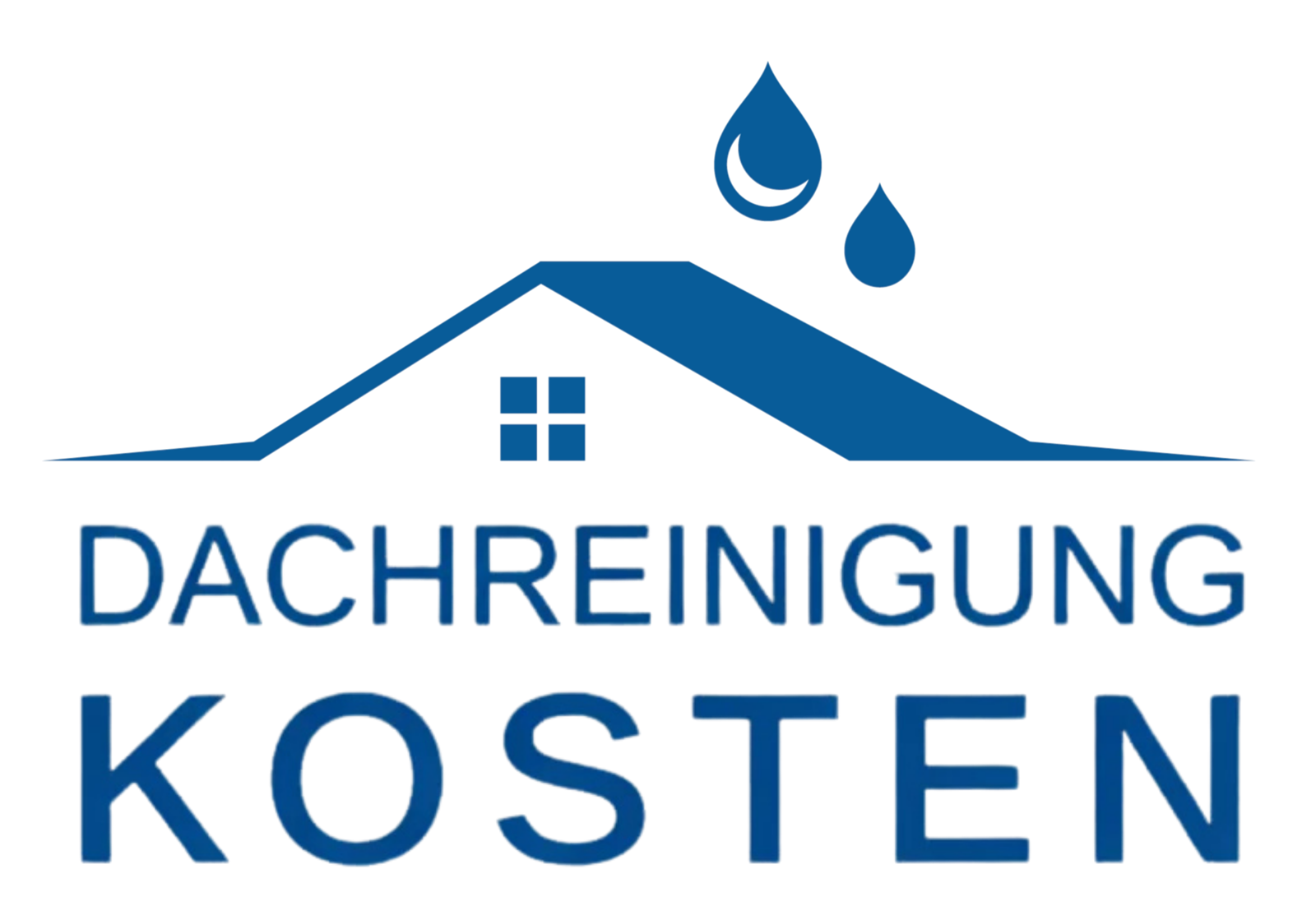 Dachreinigung Kosten Logo